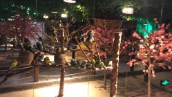 -酷嗒动物文化乐园(cutezoo西溪乐天城店)