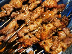 -二道木烤羊腿(桃花潭店)