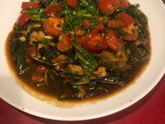 遇龙河剑骨鱼—阳朔特色啤酒鱼-生态苑农庄(十里画廊遇龙河店)