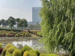 -春花秋色城市公园