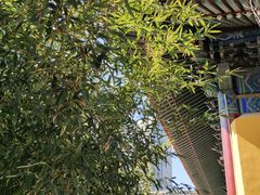 -挂甲禅寺