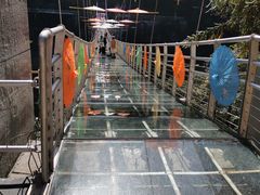 -九龙江国家森林公园