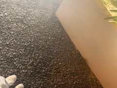 -青梅酒肆PLUS(长白仙岛北路店)