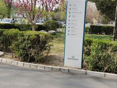 -中国中医科学院望京医院(院本部)