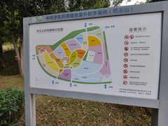-广东中医药博物馆