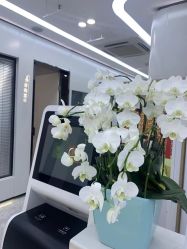 -悟空祛痘·诺奖技术专业店