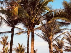 -味餐厅·海鲜·火锅·自助餐