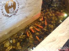 -新南华大酒店(广中店)
