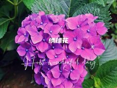 -临平公园(临平街道)