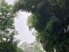 -成都杜甫草堂博物馆