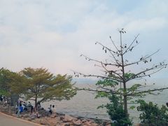 -深圳湾公园(南山区)