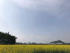 -光明小镇欢乐田园