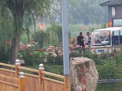 -白洋淀景区