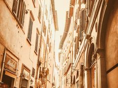 -圣母百花大教堂穹顶