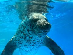 -泉城欧乐堡海洋极地世界