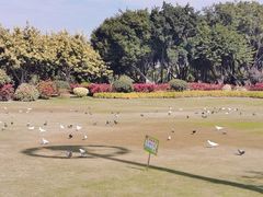-白鹭洲公园