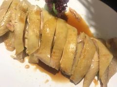 -Asianplus海蓝鸡饭