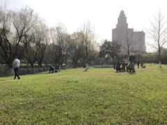 -中央公园(苏州工业园区)