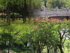 -晓港公园