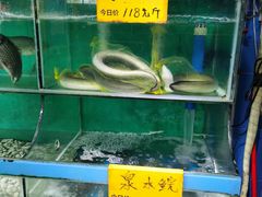 -三辣馆