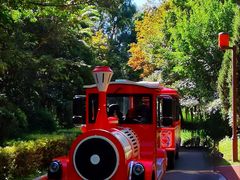 -长春市南湖公园