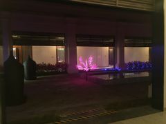 -西双版纳融创皇冠假日度假酒店