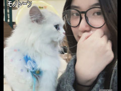 -共舞时光猫咖·狗咖(新街口店)