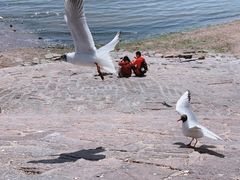 -老味道民宿(栈桥店)