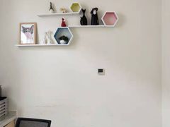 -美联众合动物医院·24h京西诊疗中心