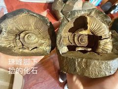 -吉祥圣雪藏餐