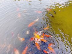 -珠海圆明新园
