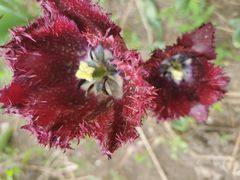 -长春公园(普阳街道)