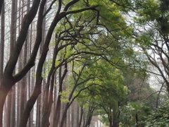 -采石矶景区