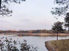 -美兰湖景区