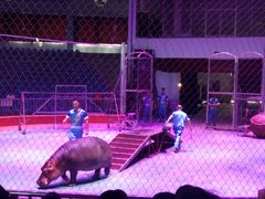 -西安秦岭野生动物园