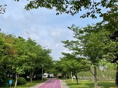 -尚贤河湿地