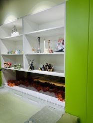 -变美丽半永久纹眉连锁·机器野生眉•洗眉