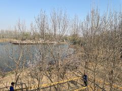 -东郊湿地公园