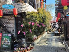 -慢丽江·云南野生菌土鸡锅(付家庄店)