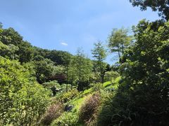 -云溪植物园