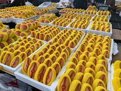 -堤口果品批发市场