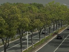 -东钱湖旅游度假区