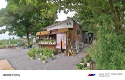 -DORA kids 朵拉儿童摄影花园店