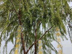 -南北湖风景区