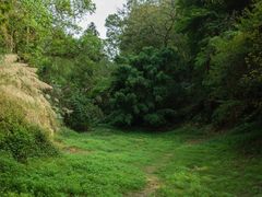 -番禺大夫山森林公园