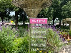 -上海滨江森林公园