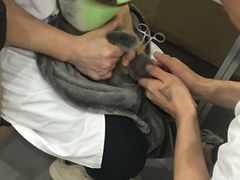 -贝利宠物医院·骨科·眼科·肿瘤转诊中心(南坪诊疗中心)