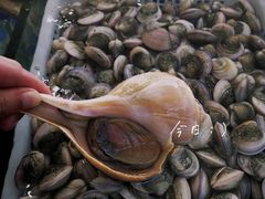 -欧记·龙城港(欣都店)
