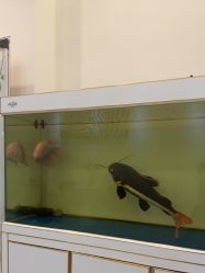 -FUMEIHUI·科技美肤·美体SPA