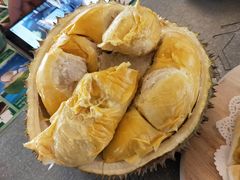 -都念榴莲·城市榴莲